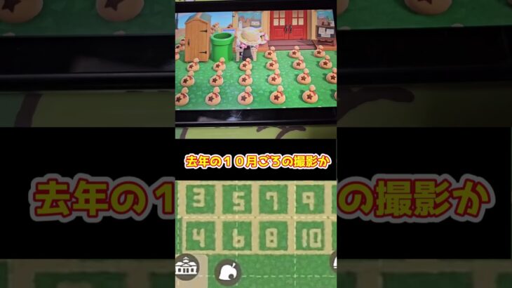 【あつ森】≪おさつのやまで１億≫　前途多難💦