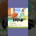 こんなのがキャプテンでいいのか？！ #あつ森  #あつまれどうぶつの森  #女性ゲーム実況
