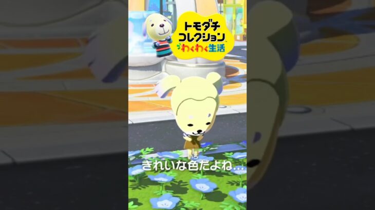 【トモコレ】あつ森バニラのキャラクリ紹介！