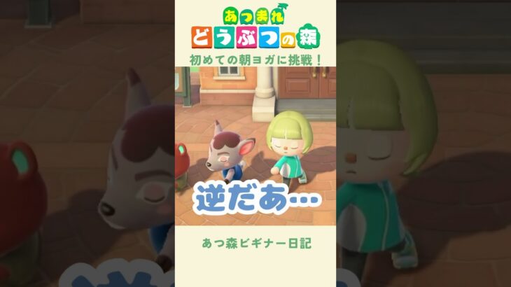 【あつ森】はじめてのみんなでヨガ🧘‍♂️💭#あつまれどうぶつの森
