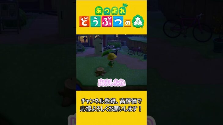 一瞬見えた黒い影【あつ森】 #あつ森 #ゲーム実況 #あつまれどうぶつの森
