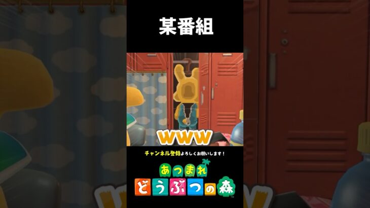 【あつ森】あの番組のセットみたいな別荘が面白すぎる