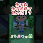 あつ森の迷路でまさかこんな詰み方する！？【あつまれどうぶつの森】#あつ森 #あつまれどうぶつの森
