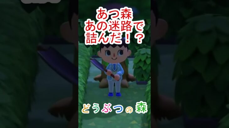 あつ森の迷路でまさかこんな詰み方する！？【あつまれどうぶつの森】#あつ森 #あつまれどうぶつの森