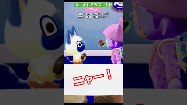 【#あつ森 】マール【#あつまれどうぶつの森 】
