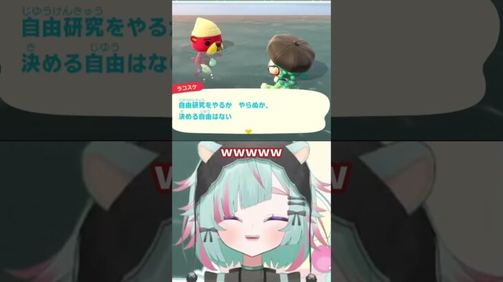 【あつ森】ラコスケって本当に良い事を言う　#あつまれどうぶつの森 #あつ森