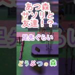 あつ森でまさかのサソリと和解する方法を発見！？【あつまれどうぶつの森】#あつ森 #あつまれどうぶつの森
