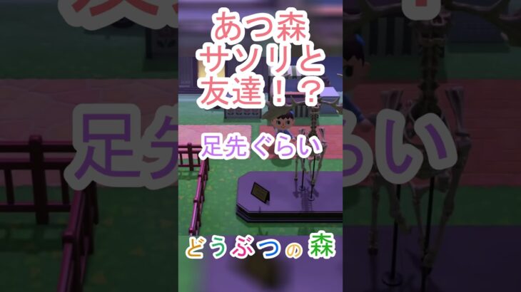 あつ森でまさかのサソリと和解する方法を発見！？【あつまれどうぶつの森】#あつ森 #あつまれどうぶつの森