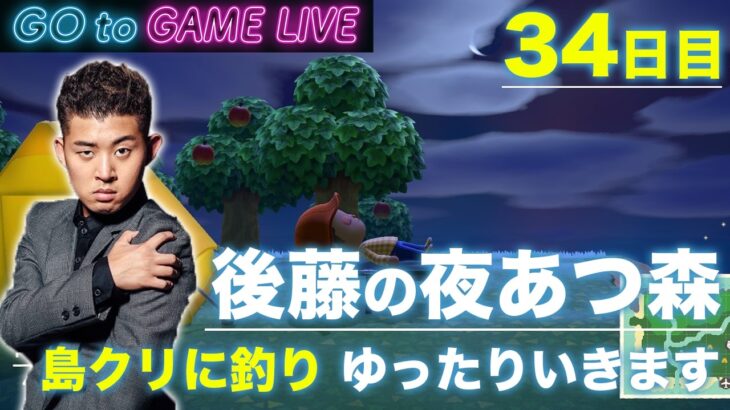 【後藤の夜あつ森】ご島で夜更かししていってください
