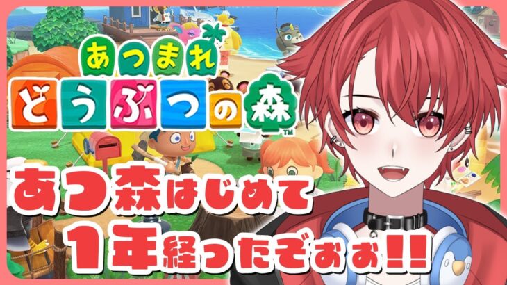 【あつ森】はじめて１年経ったのでお祝いじゃ｜初見さん大歓迎◎ #あつまれどうぶつの森