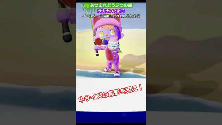 【#あつ森 】サカナのたまご【#あつまれどうぶつの森 】