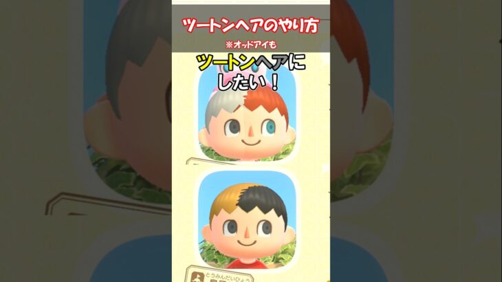 ツートンヘア・オッドアイになりたい！ 【あつ森】@ほのげ