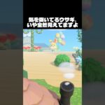 【あつ森ｼｮｰﾄ】気を抜いているウサギを観察する