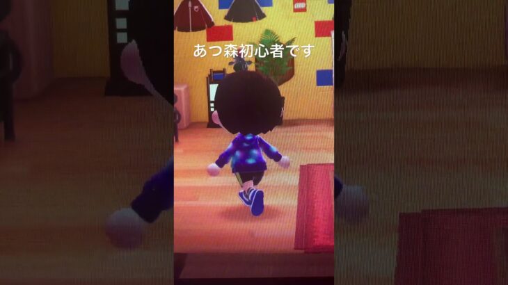あつ森初心者です #あつまれどうぶつの森