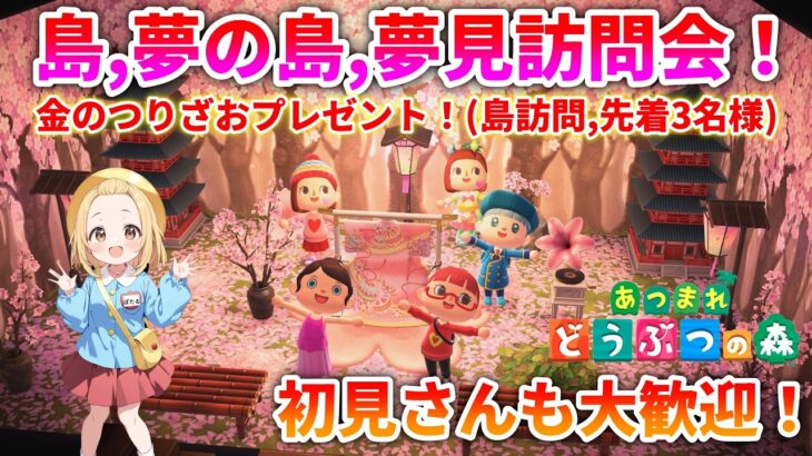【あつ森 参加型】ぽたるちゃんの島訪問会！（夢の島、夢見、別荘訪問もおｋ）