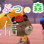 【初見さんも歓迎】あつ森で島クリする！地下室の借金がヤバい！ベル集めよう！【あつまれどうぶつの森】