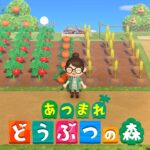【あつ森】ちょっとだけ｜島の散策🏝️
