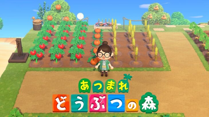 【あつ森】ちょっとだけ｜島の散策🏝️