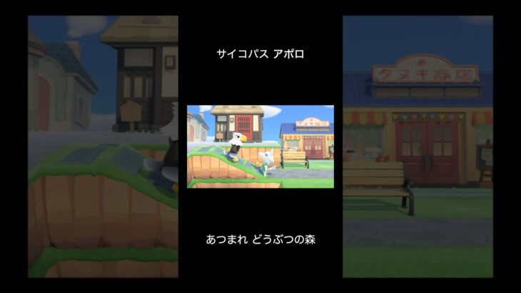 【あつ森】サイコパス アポロ
