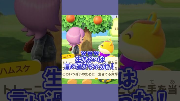 ハムスケの生きがいとは！？ #あつ森  #あつまれどうぶつの森  #女性ゲーム実況
