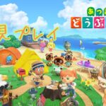 あつ森初見プレイ１１日目