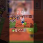 【あつまれどうぶつの森】もうバレてんぞ、手遅れだ #あつ森