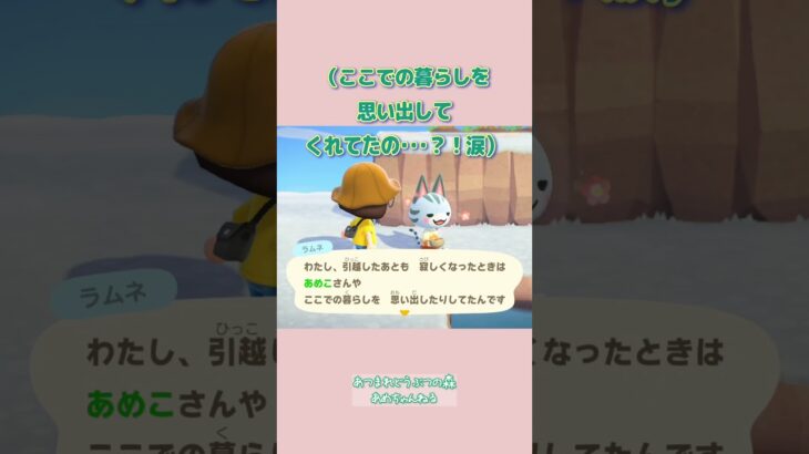あつ森｜ラムネが愛おしすぎる！アプデで観光客#あつまれどうぶつの森 #あつ森
