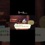 昔は怖い人だったよ。トラウマ。[あつ森]