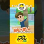 トモコレであつ森のテッチャン作ったらこうなった