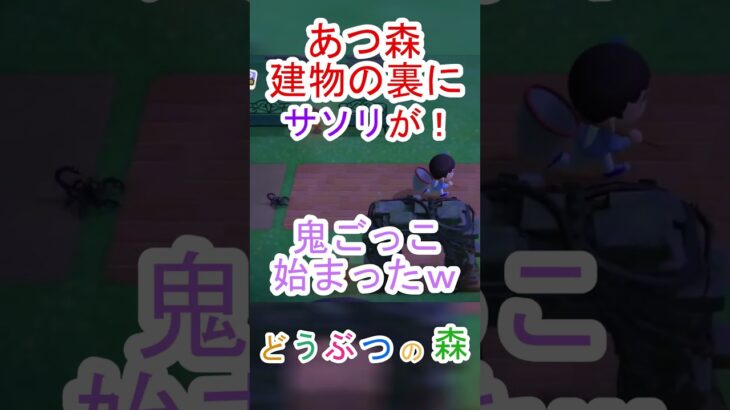 あつ森ってよく突然鬼ごっこが始まるよね！ｗ【あつまれどうぶつの森】#あつ森 #あつまれどうぶつの森