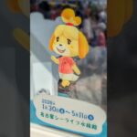 あつ森｜シーライフ水族館にお出かけした日🐟