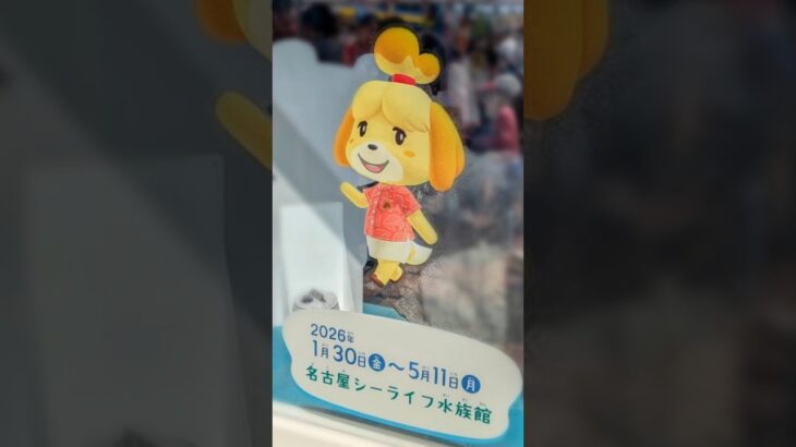 あつ森｜シーライフ水族館にお出かけした日🐟