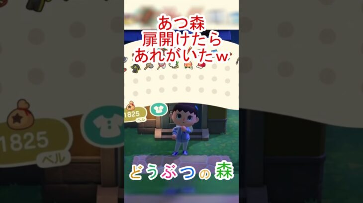 あつ森でサソリが扉の前に待ち構えているるる！ｗ【あつまれどうぶつの森】#あつ森 #あつまれどうぶつの森