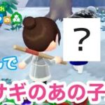 【あつ森】離島ガチャでウサギのあの子に出会った！