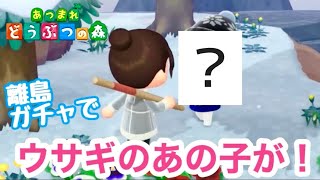 【あつ森】離島ガチャでウサギのあの子に出会った！
