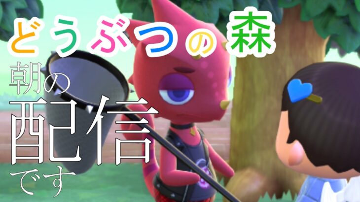 【初見さんも歓迎】あつ森で朝配信です、おはよう。マイルを集めよう！【あつまれどうぶつの森】