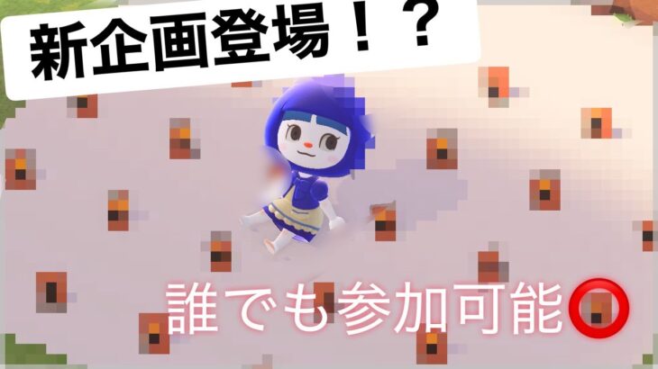 【あつ森】誰でも参加可能⭕️  新企画登場!?ハチャメチャなあつ森配信はこちら💁‍♀️