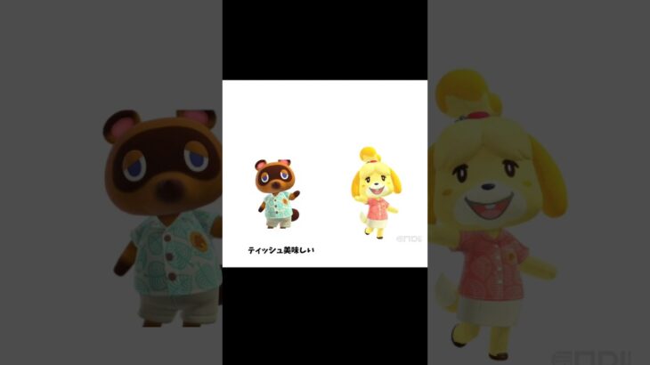 ティッシュ🧻 #あつ森 #あつまれどうぶつの森