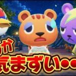 【あつ森アニメ】親友モテすぎ問題|ストロベリーホームパパ