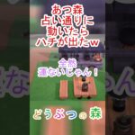 あつ森で占い通りに行動したらハチが出てきて最悪だったｗ【あつまれどうぶつの森】#あつ森 #あつまれどうぶつの森