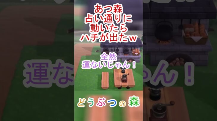 あつ森で占い通りに行動したらハチが出てきて最悪だったｗ【あつまれどうぶつの森】#あつ森 #あつまれどうぶつの森