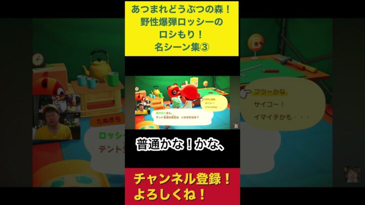 【あつまれどうぶつの森】名シーン集③ #あつ森　#あつまれどうぶつの森　#野性爆弾ロッシー　#たぬきち