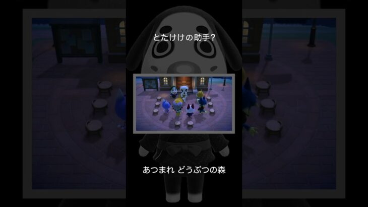 【あつ森】とたけけの助手？