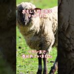 【超高級おままごと】総額いくら？王妃専用の「リアルあつ森」が狂気すぎる