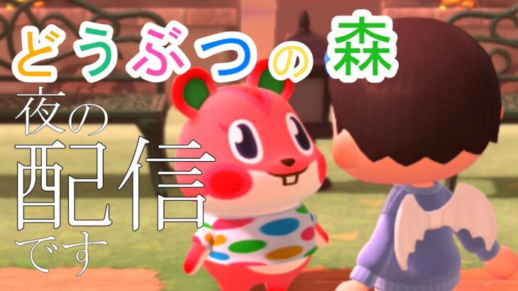 【初見さんも歓迎】あつ森で島クリする！ネコのぬいぐるみが大量にある！？【あつまれどうぶつの森】