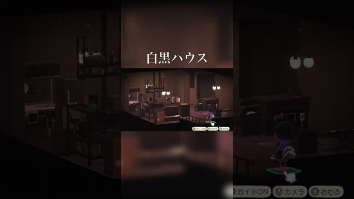 【あつまれどうぶつの森】温度差がやばい白黒ハウス #あつ森