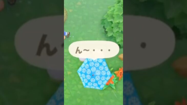 【あつ森】この住民が卒業！？結果は…