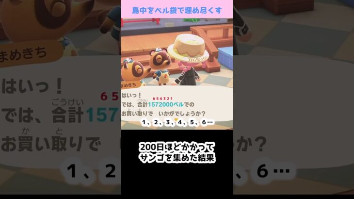 【あつ森】≪島中を💰≫　努力は無駄じゃない