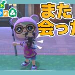 【#あつ森】サソリの季節と住民ガチャとあしゃこ。しかしクマである私が最強だ。#あつまれどうぶつの森 /#ライブ配信/#ゲーム実況者