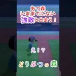 あつ森でサソリと究極の間合い勝負！【あつまれどうぶつの森】#あつ森 #あつまれどうぶつの森